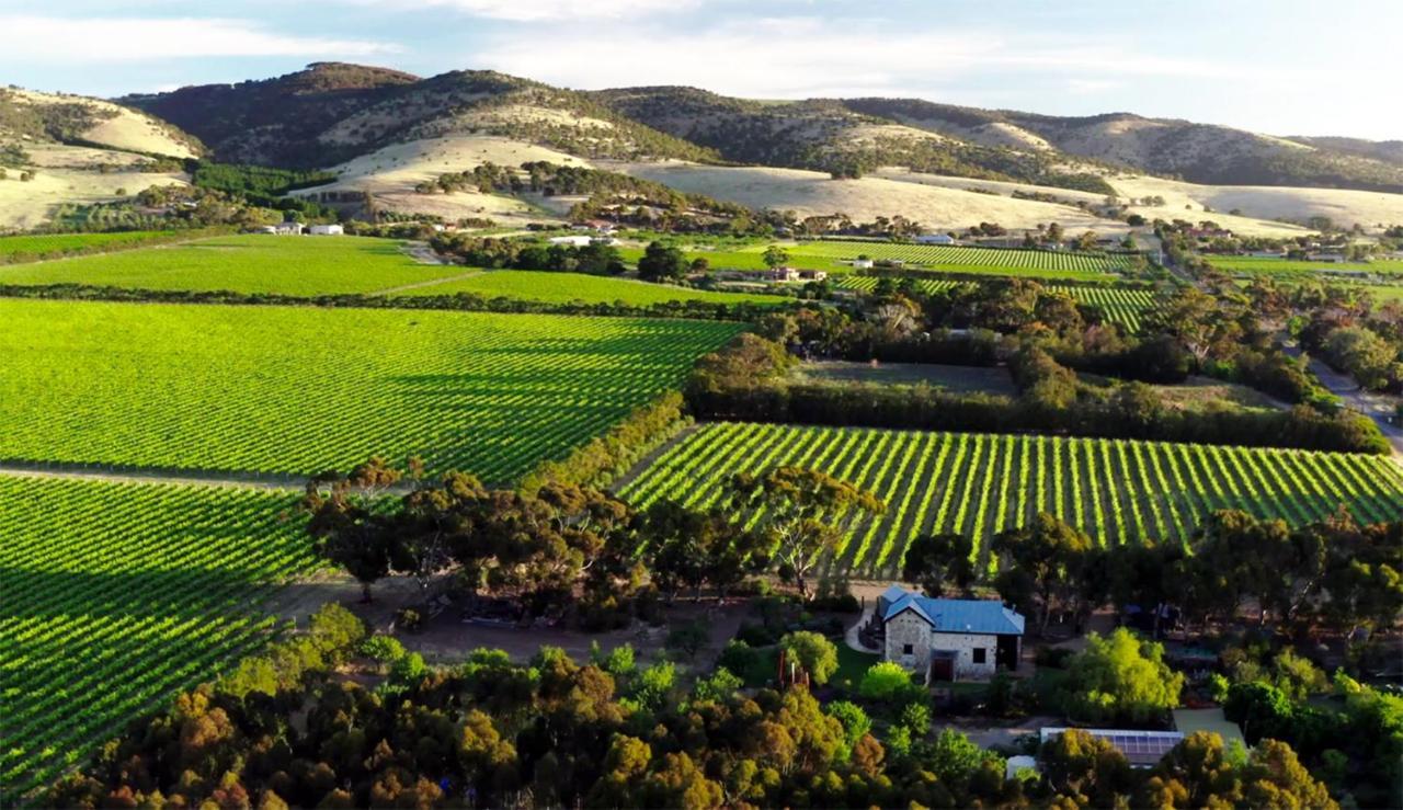 The Old Chaff Mill Organic Vineyard Retreat Bed & Breakfast Sellicks Hill Luaran gambar