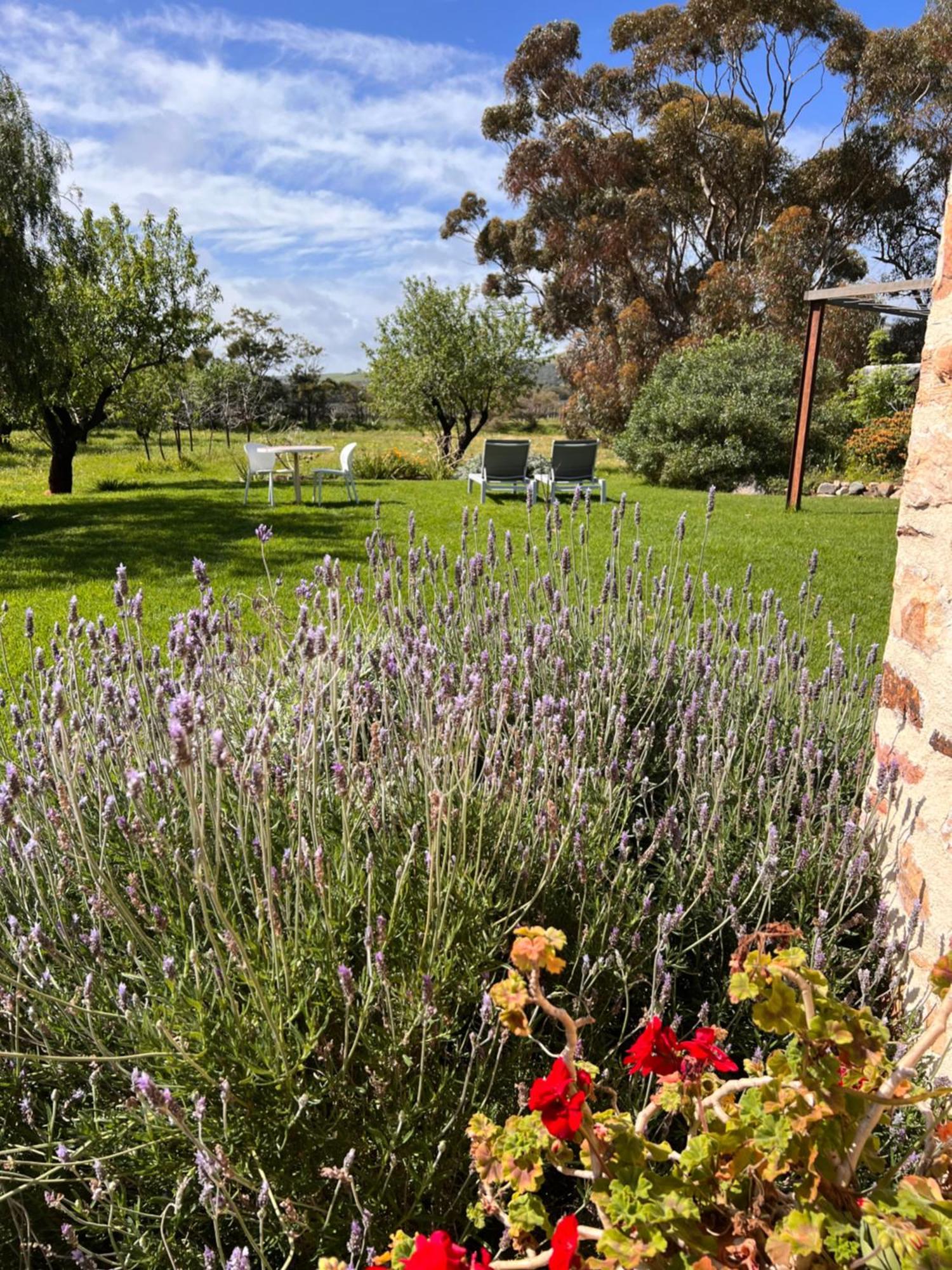 The Old Chaff Mill Organic Vineyard Retreat Bed & Breakfast Sellicks Hill Luaran gambar